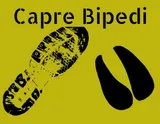 Blog Logo